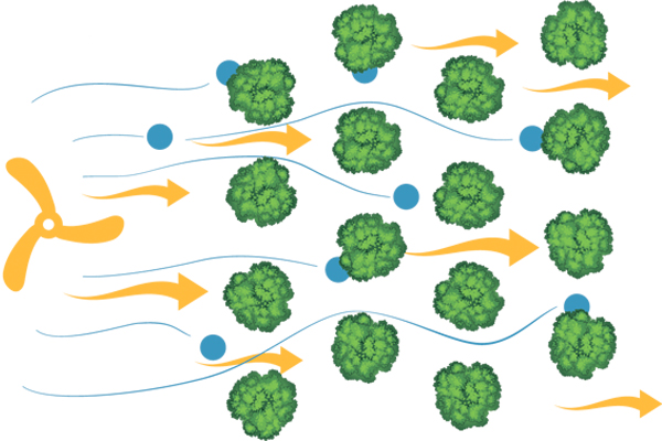 Типы и виды компрессоров: обзор